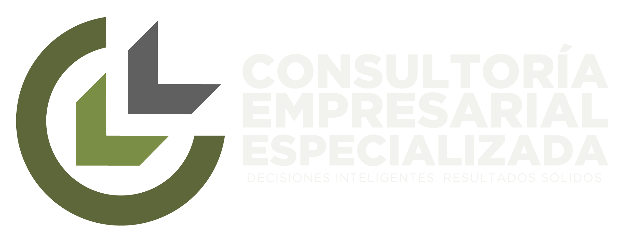 Consultoría Empresarial Especializada